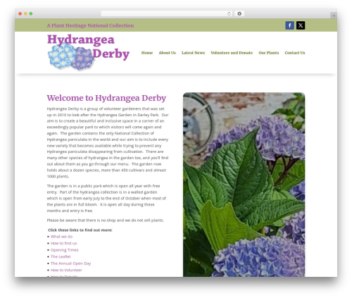 reCAPTCHA in WP comments form (recaptcha-in-wp-comments-form) free WordPress plugin - hydrangeaderby.co.uk reCAPTCHA in WP comments form (recaptcha-in-wp-comments-form) free WordPress plugin - hydrangeaderby.co.uk