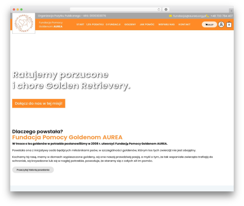 Hello Elementor best WordPress theme - aurea.org.pl