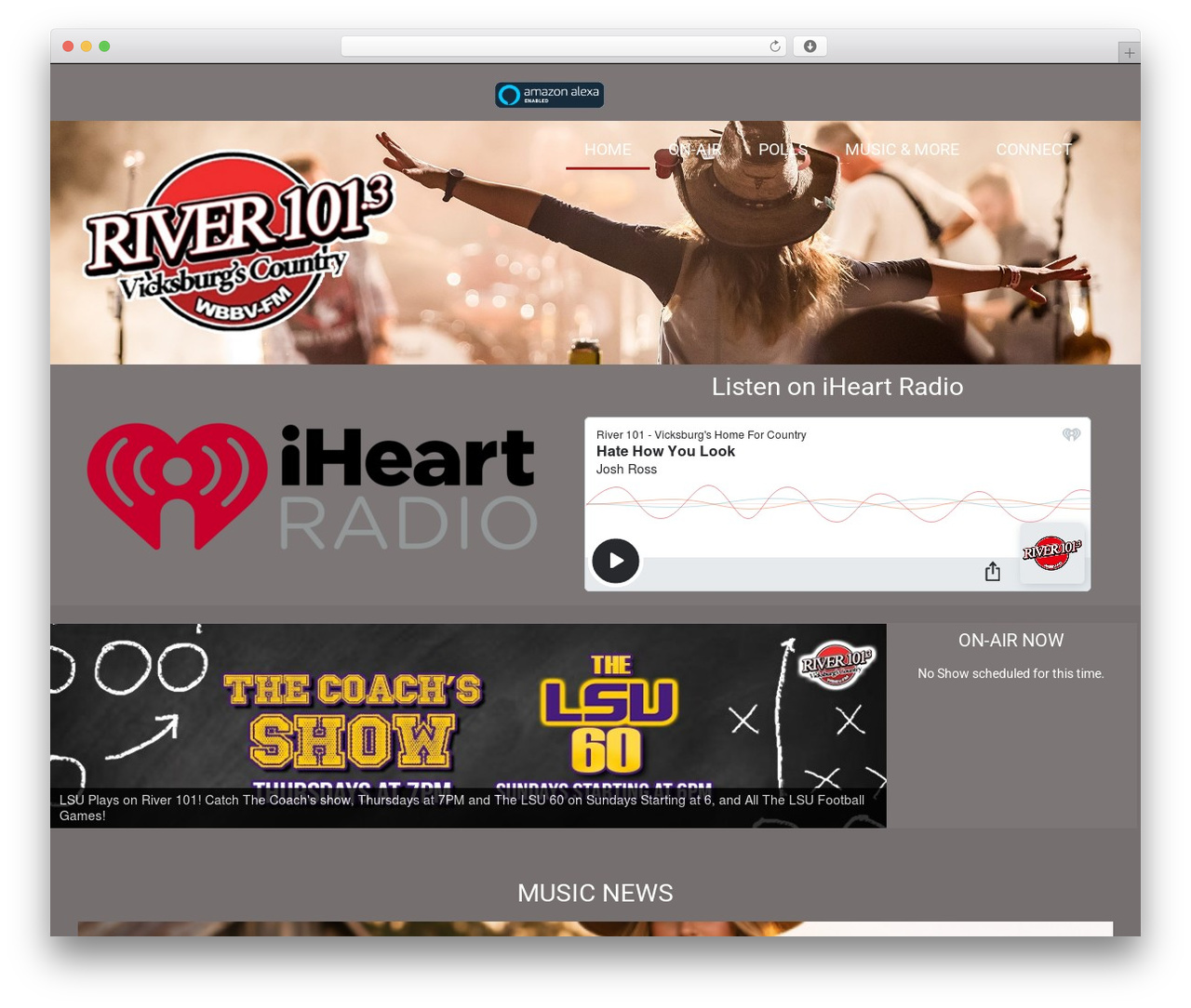 Hello Elementor theme WordPress - river101.com