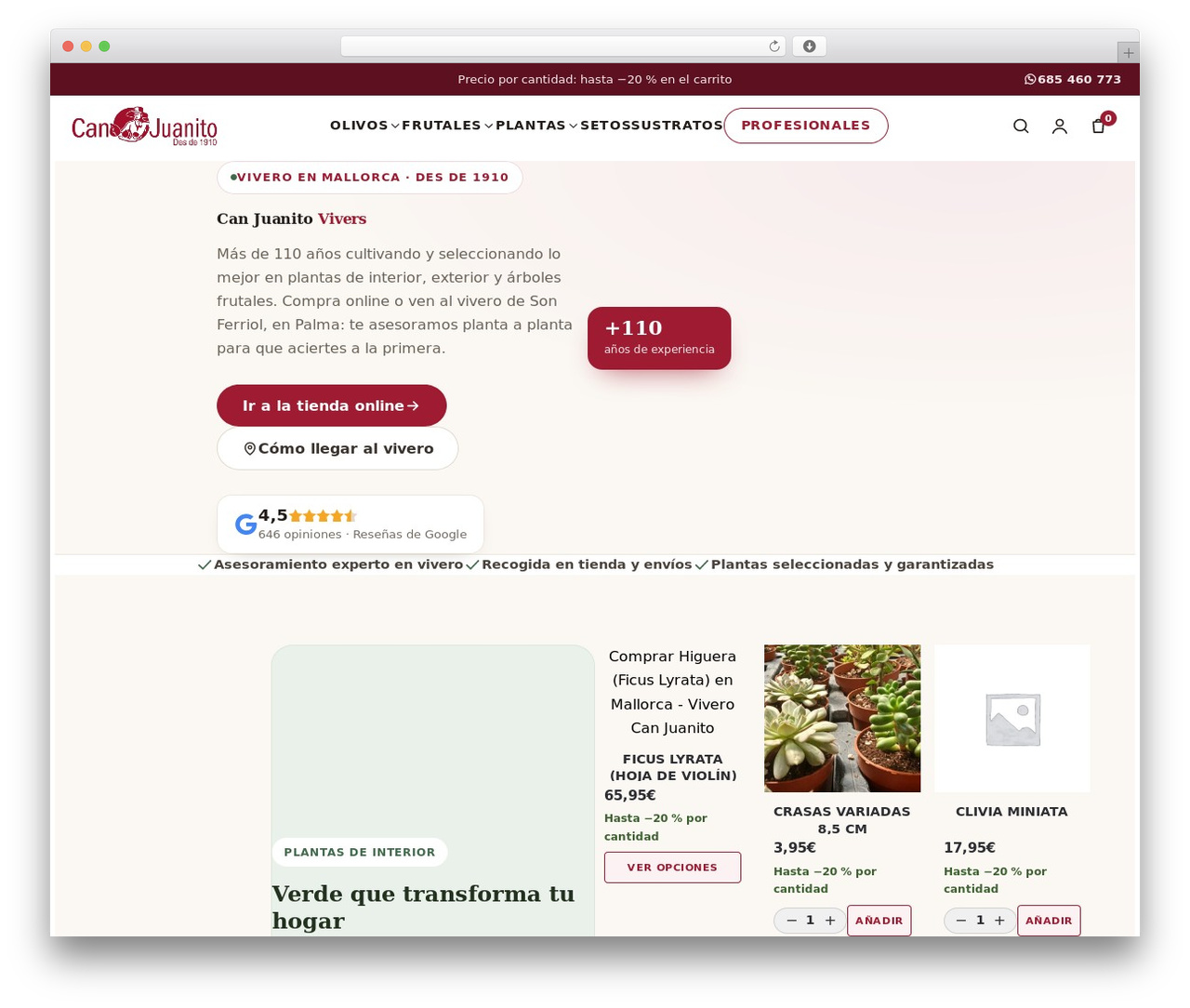 Shoptimizer WordPress theme - canjuanito.com Shoptimizer WordPress theme - canjuanito.com