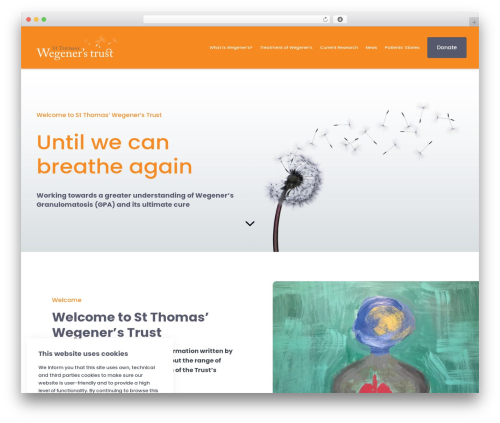 WordPress theme CreativeAdviser - wegeners.org.uk