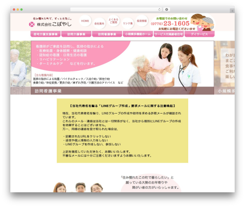 Sample Theme WordPress theme - care-koba.com