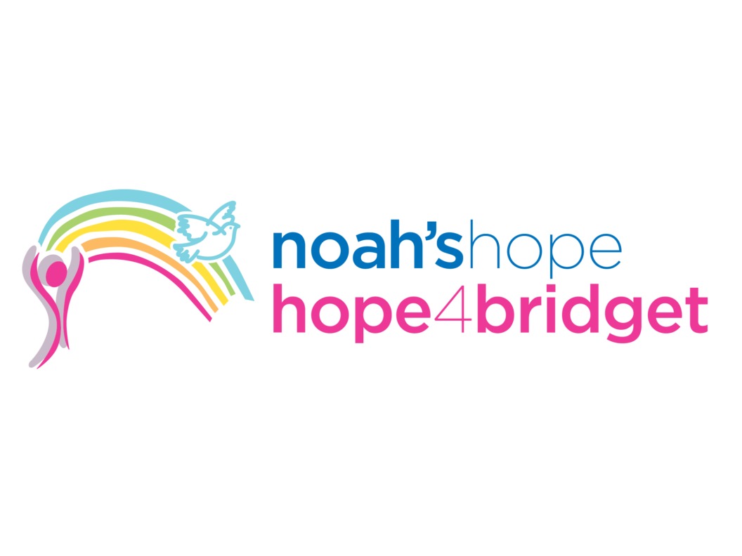 WordPress theme Noah's Hope by Run Go Tell