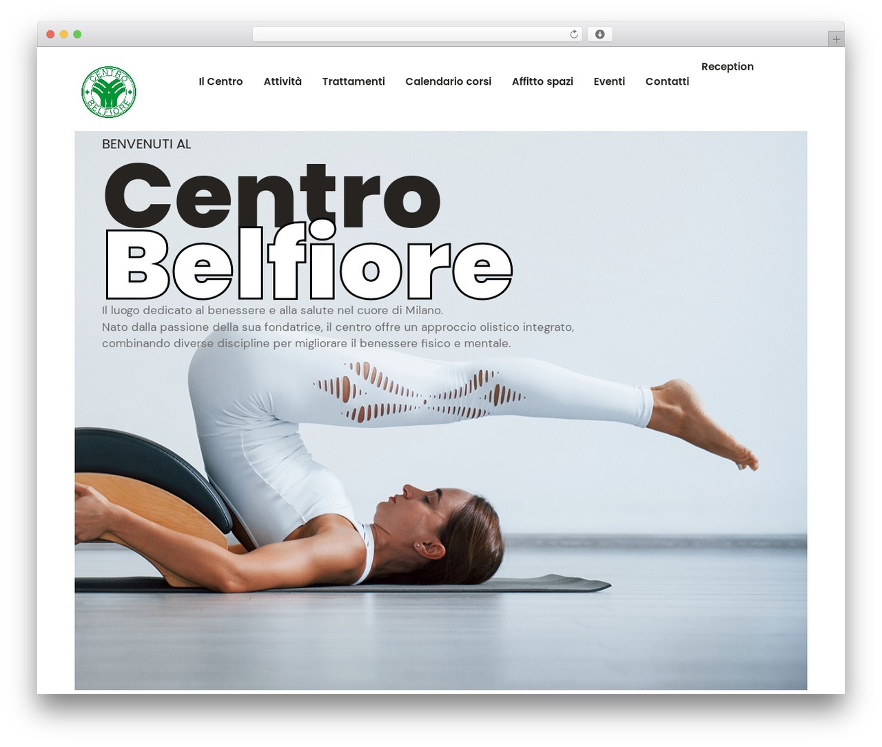 WordPress theme Hello Elementor - centrobelfiore.it