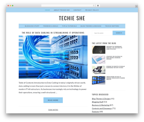 Brunch Pro Theme theme WordPress - techieshe.com