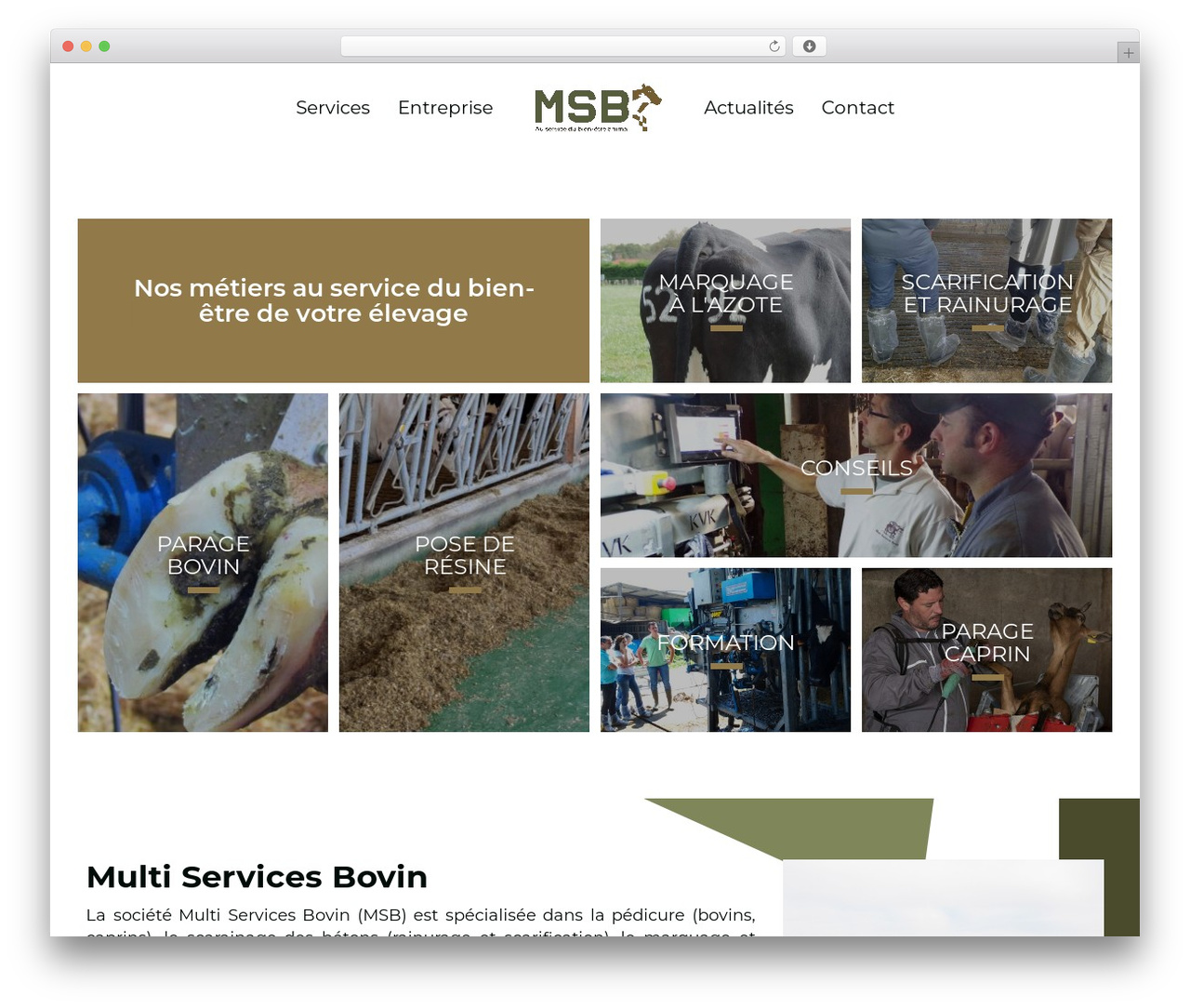 CI MSB theme WordPress - multiservicesbovin.com CI MSB theme WordPress - multiservicesbovin.com
