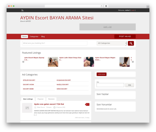 ClassiPress theme WordPress - aydinescortdnz.com