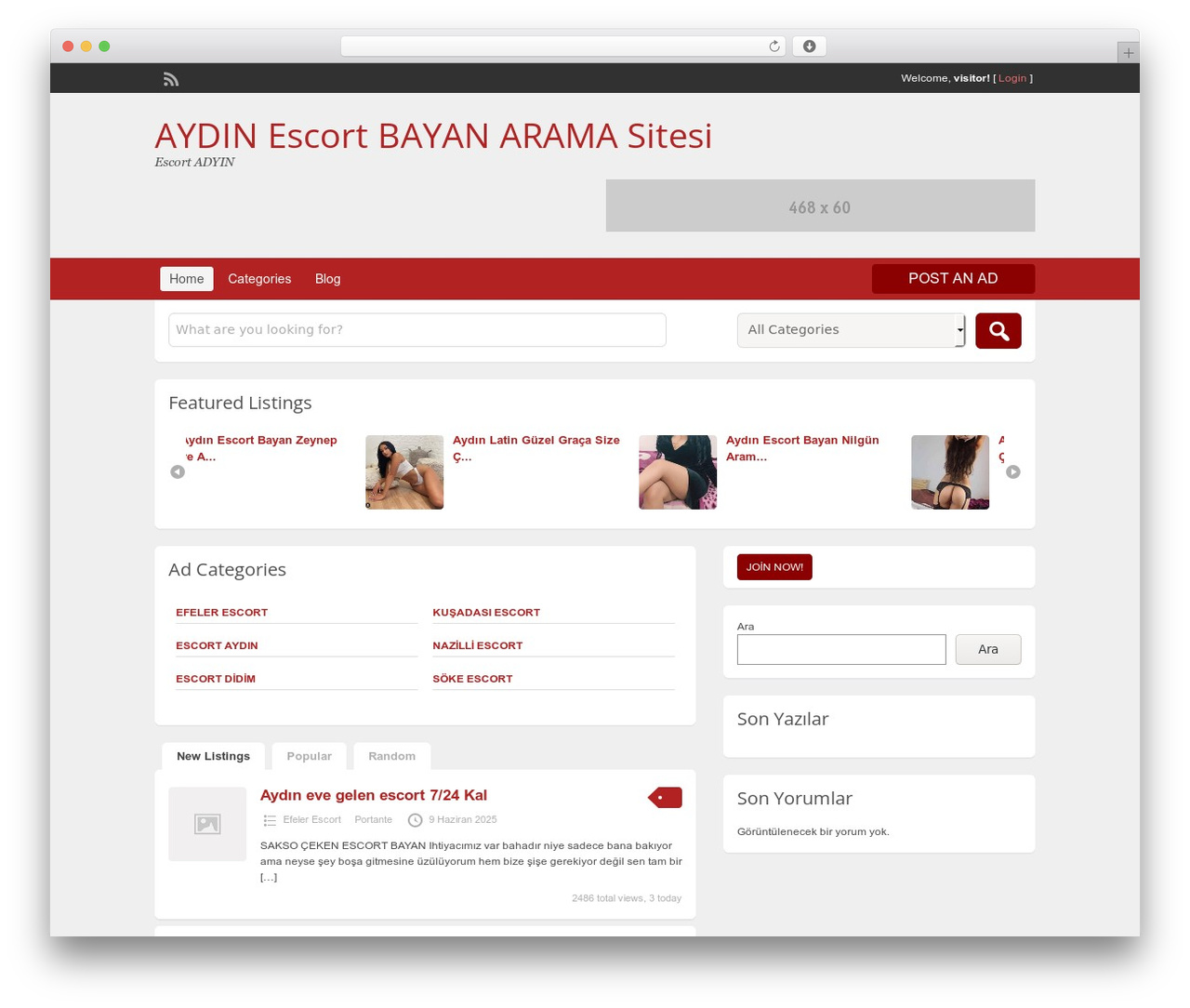 ClassiPress theme WordPress - aydinescortdnz.com