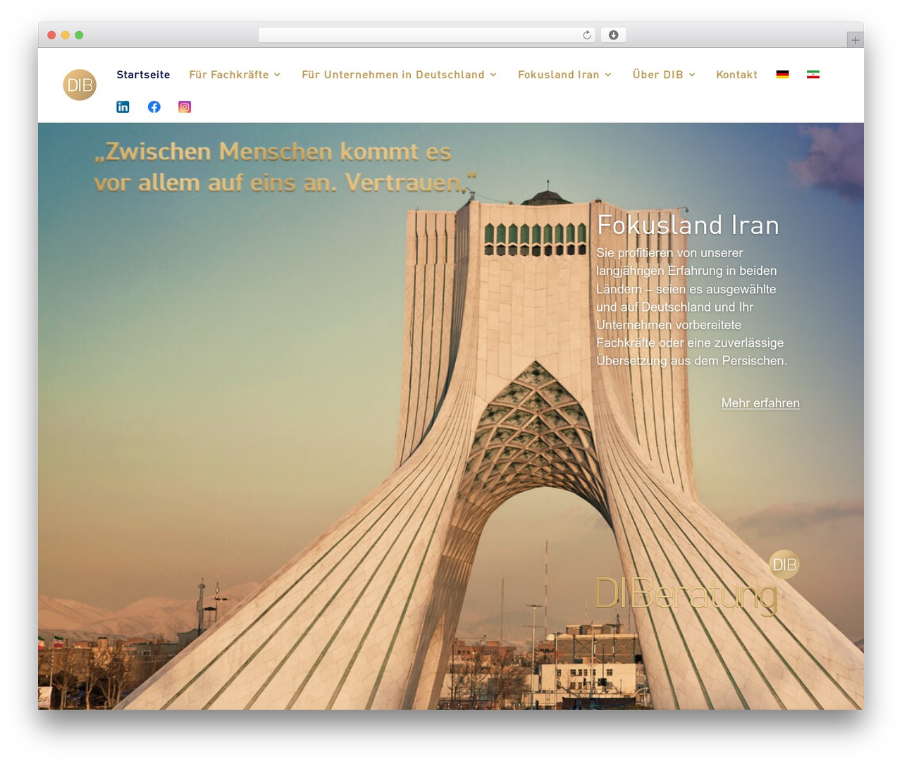 Divi WordPress theme design - www.diberatung.de