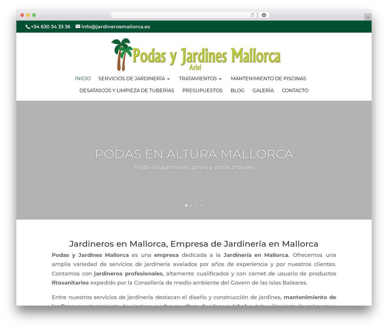 Divi WordPress theme - jardinerosmallorca.es