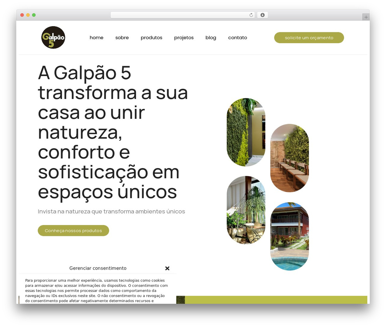 JupiterX WordPress theme design - galpao5.com
