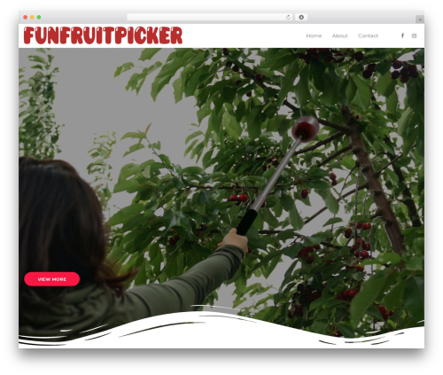 Theme WordPress Cimol - funfruitpicker.com