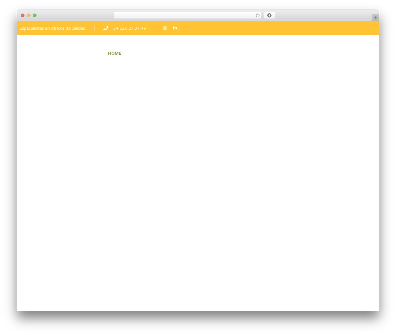 Theme WordPress OrgaFit - uriaexport.com Theme WordPress OrgaFit - uriaexport.com