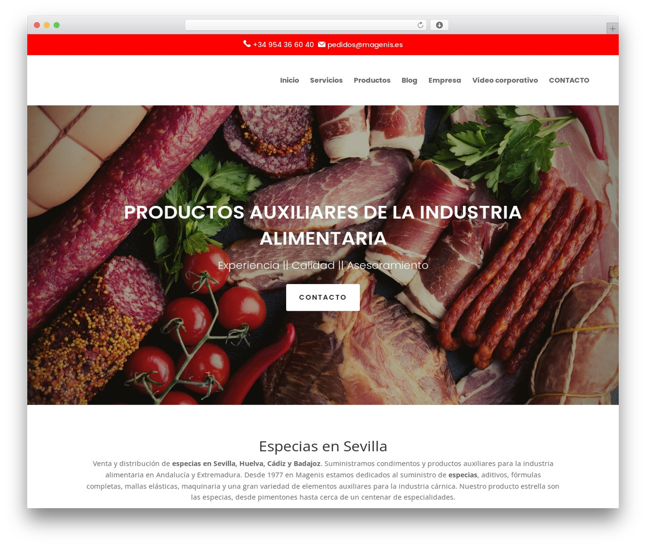 WordPress theme Divi - magenis.es