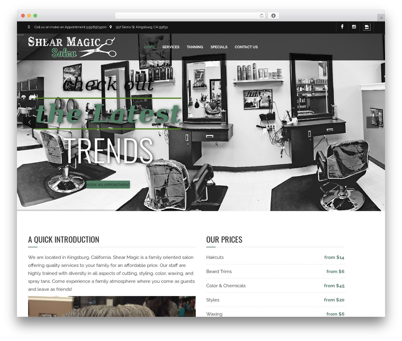 WordPress theme Barber - Wordpress Theme - shearmagicsalonkingsburg.com