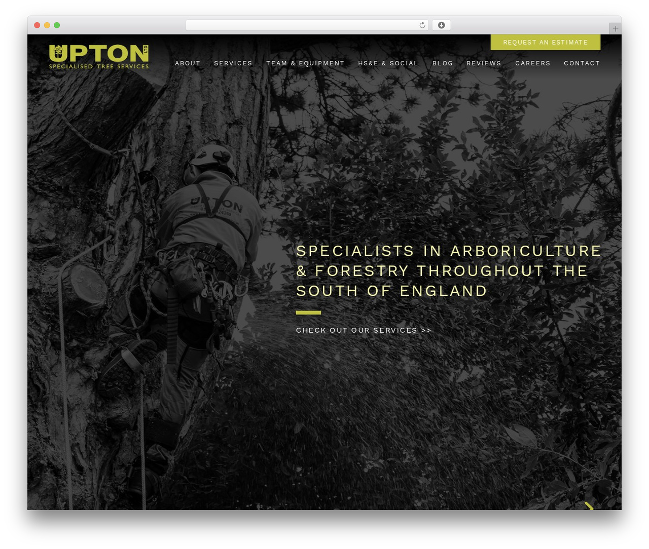 WordPress theme Upton Tree Services - treesurgerydorset.co.uk WordPress theme Upton Tree Services - treesurgerydorset.co.uk
