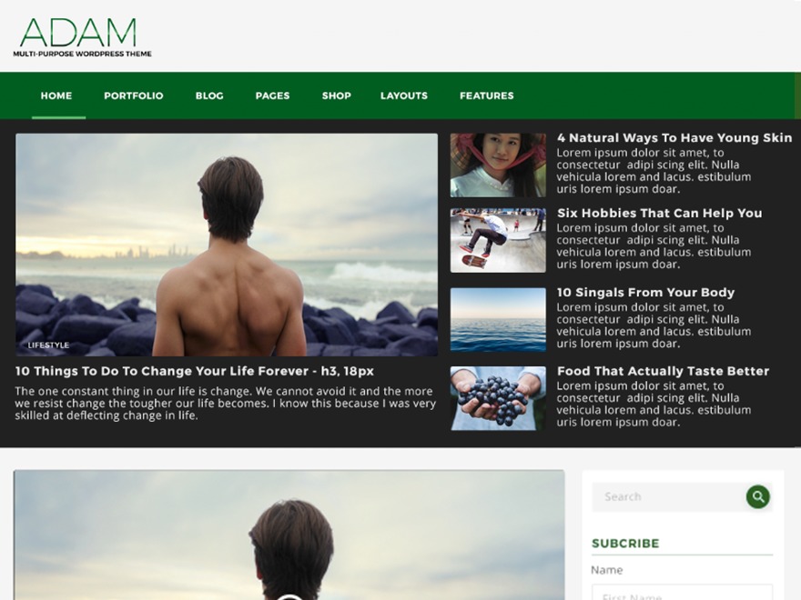 Adam Multi-Purpose Wordpress Theme WordPress website theme