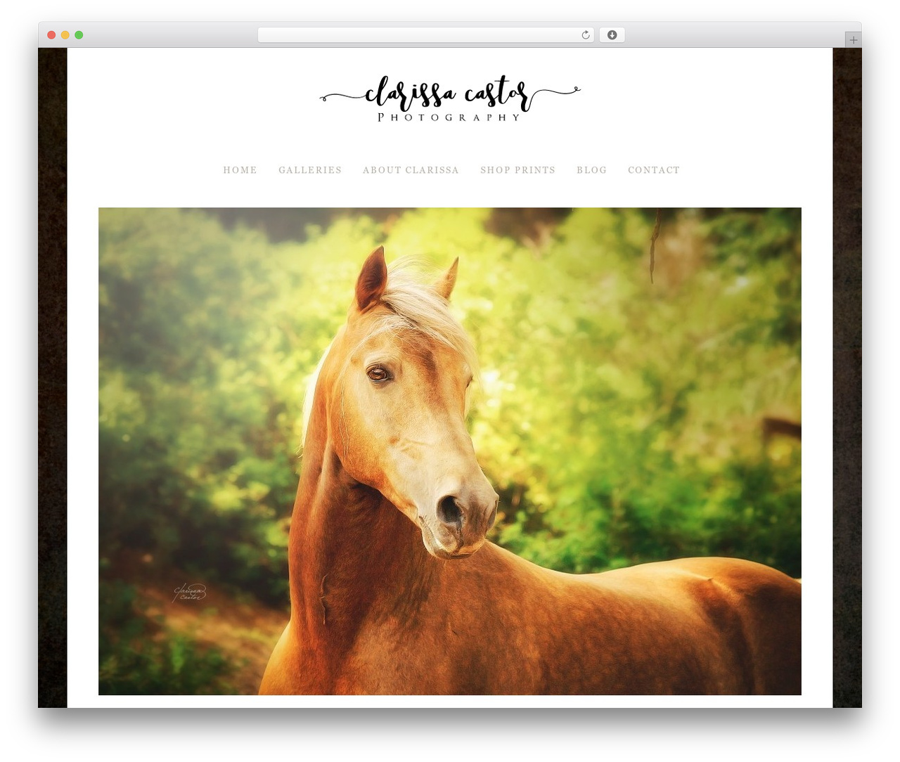 Danielle WordPress theme image - clarissacastor.com