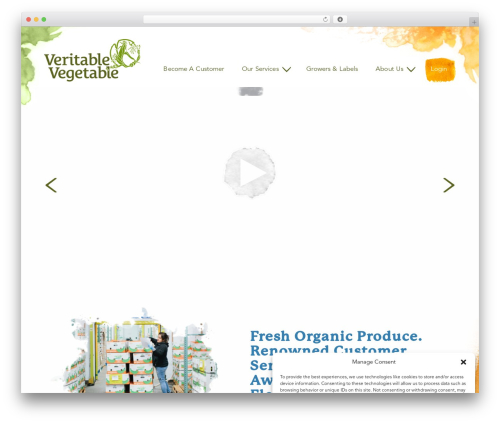 FR Starter Theme WordPress theme - veritablevegetable.com