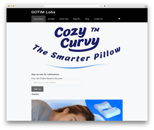 GeneratePress top WordPress theme - gotim.com