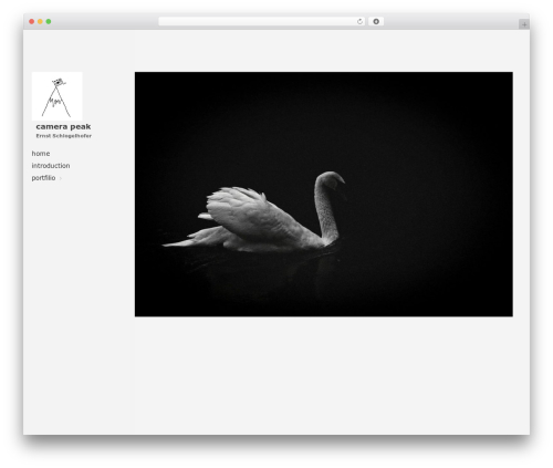 Layers pro extension WordPress plugin - camerapeak.com
