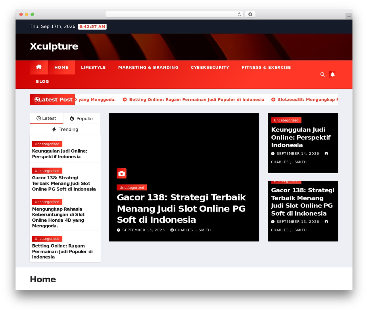 Newsup WordPress theme - xculpture.com