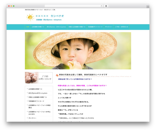 responsive_242 theme WordPress - amaterasu2015.com