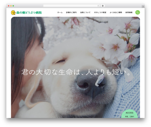 新うぇぶ屋テーマ WordPress theme - morinoki.info