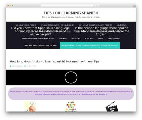 BHost WordPress theme - tipslearningspanish.com