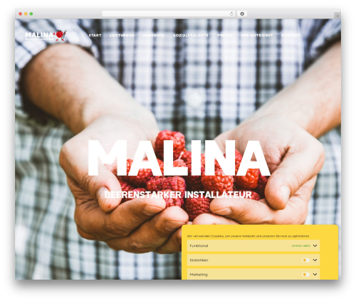Bomby WordPress theme - malina-installateur.at