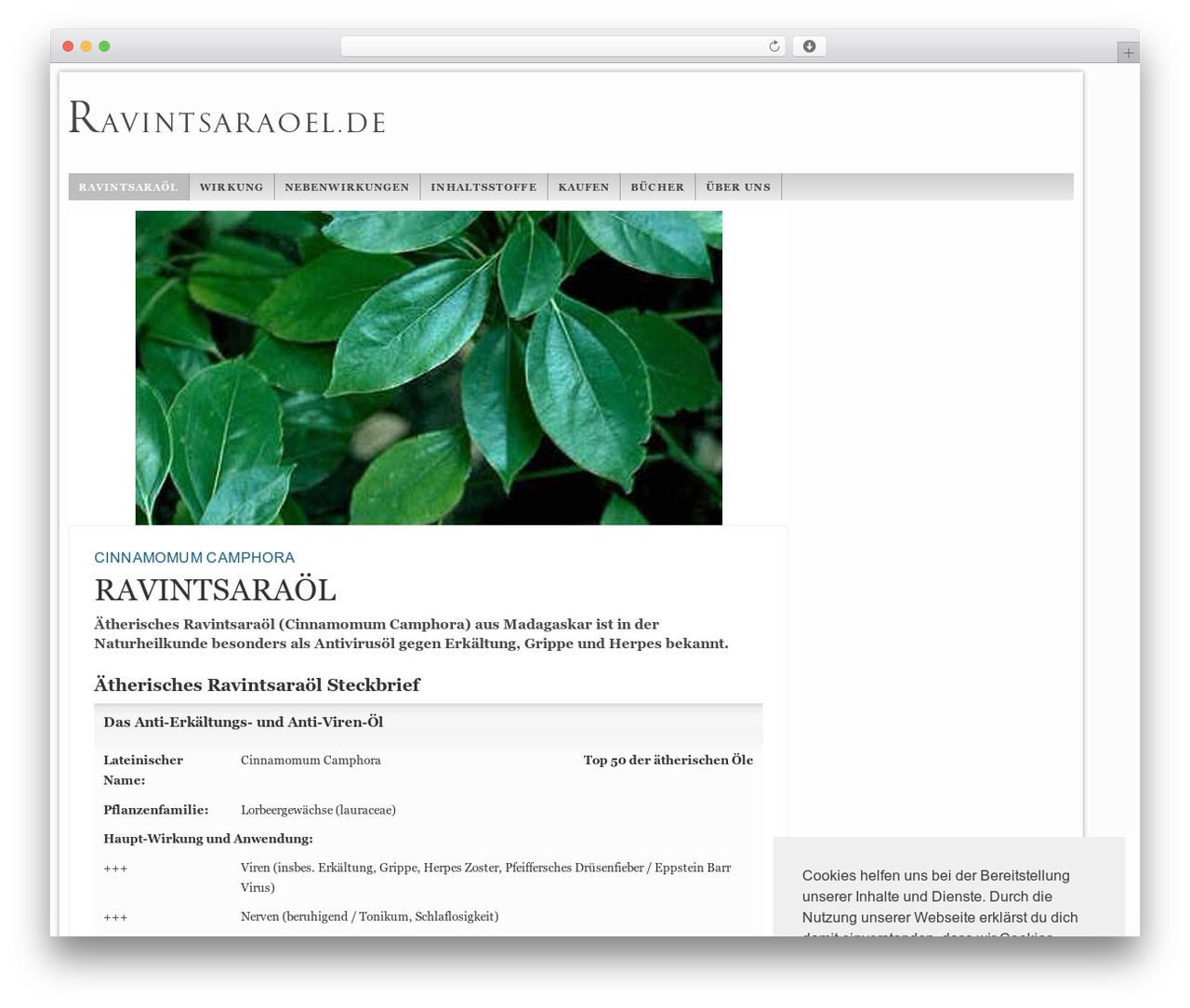 Network-Theme WordPress theme - ravintsaraoel.net Network-Theme WordPress theme - ravintsaraoel.net