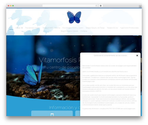 Theme WordPress Divi - www.vitamorfosispsicologia.es