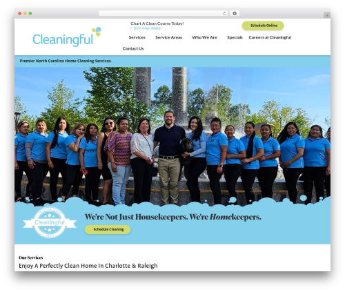 Lnb core WordPress plugin - cleaningful.com