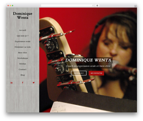 Portfolio gallery WordPress plugin - dominiquewenta.com