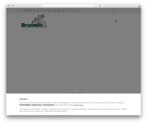 WordPress theme TM BuildPlus - brunellosrl.com