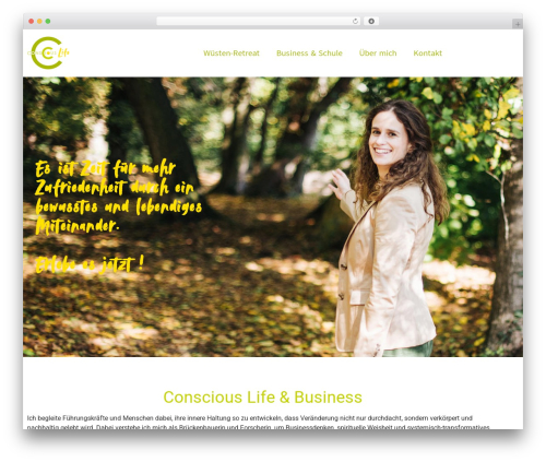 Elfsight vimeo gallery cc WordPress plugin - conscious-life.org