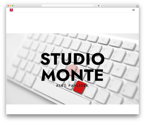 Divi elastic gallery WordPress plugin - studiomonte.cz