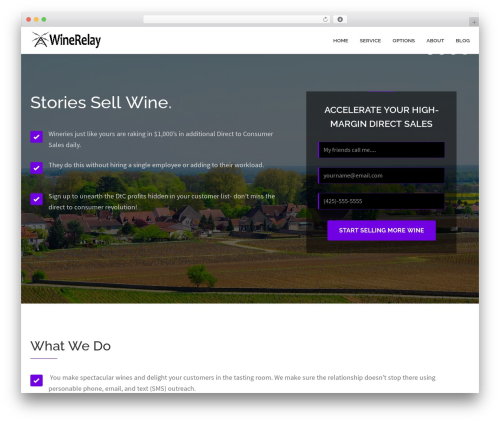 LandX template WordPress - winerelay.com