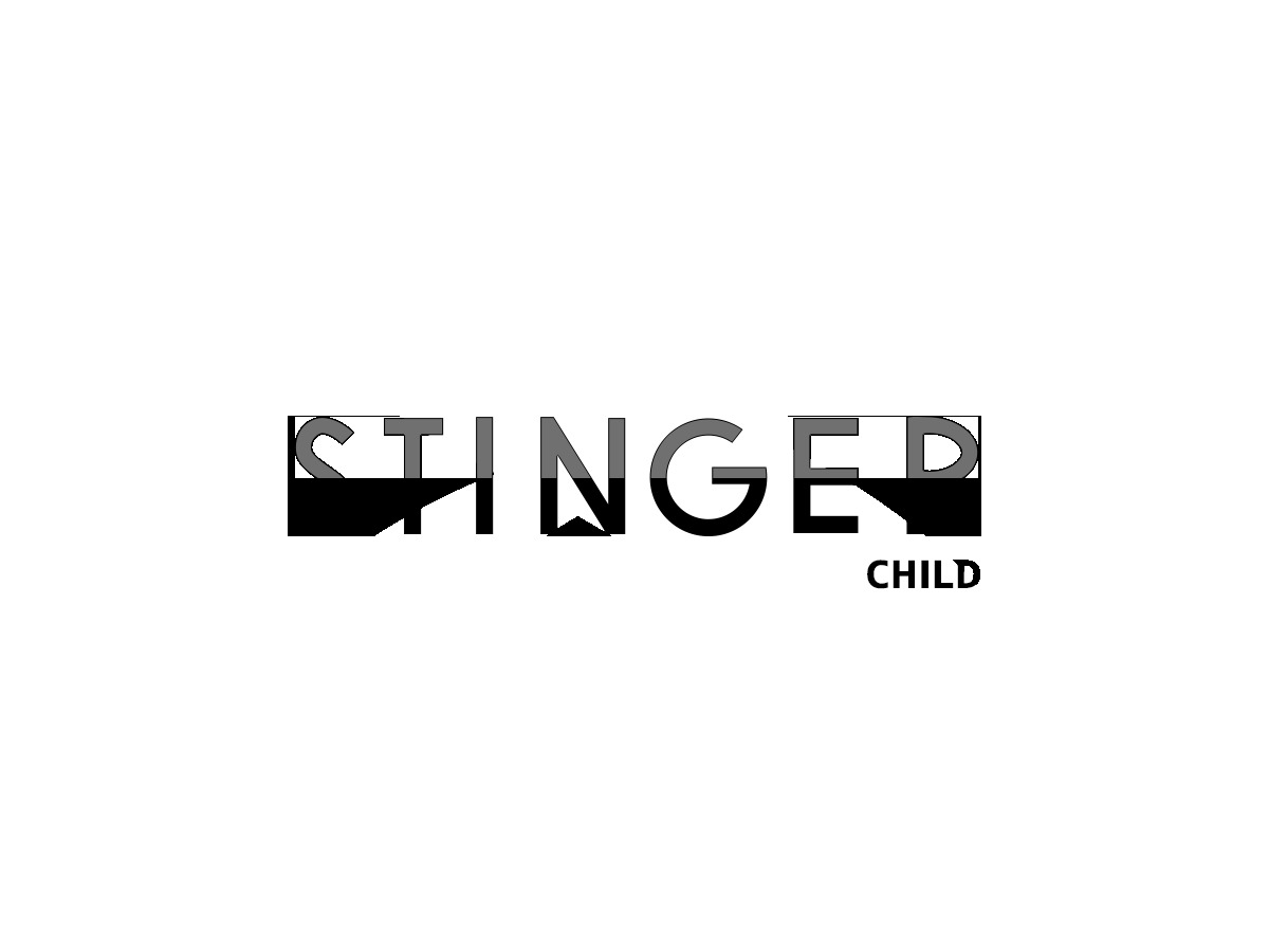 WordPress theme STINGER8