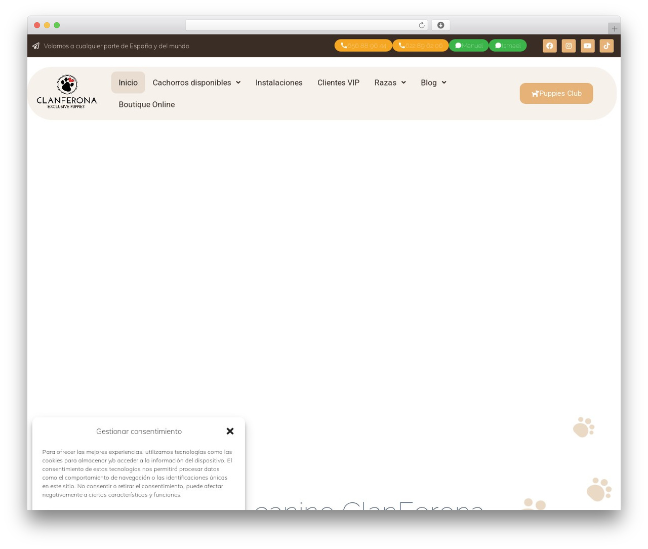 WordPress website theme Hello Elementor - clanferona.com