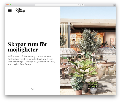Gate Group Master WordPress theme design - gate.group