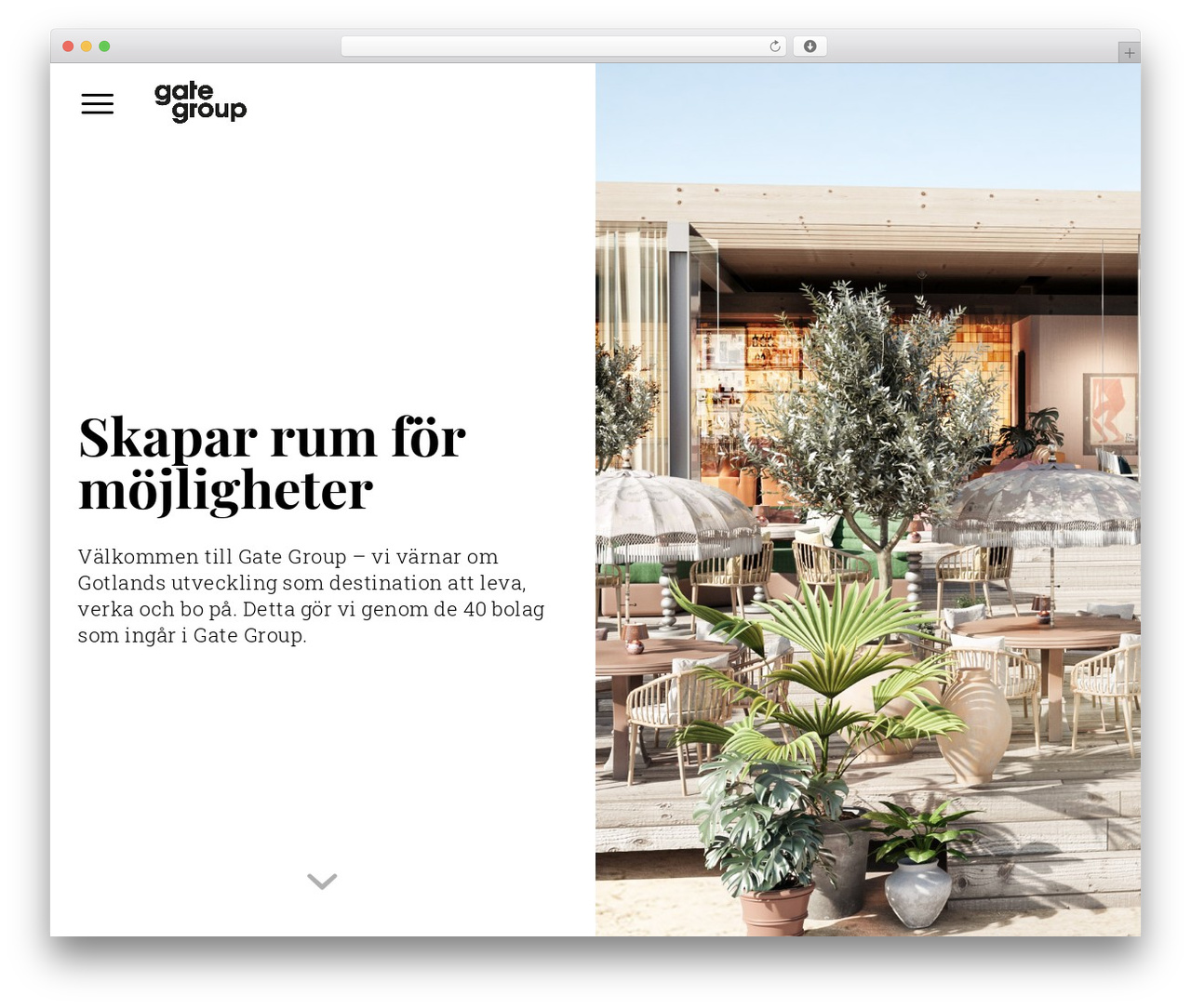 Gate Group Master WordPress theme design - gate.group