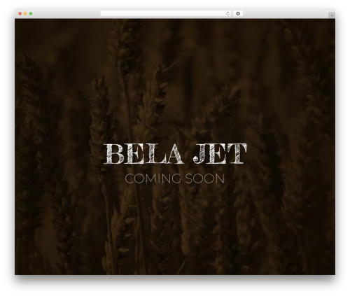 Hello Elementor WP theme - belajet.com