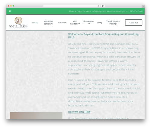 Megatheme WordPress theme - beyondtherootcounseling.com