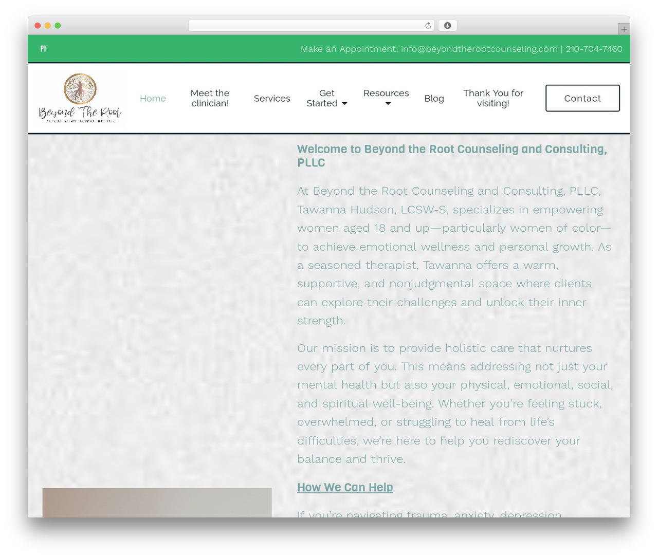 Megatheme WordPress theme - beyondtherootcounseling.com