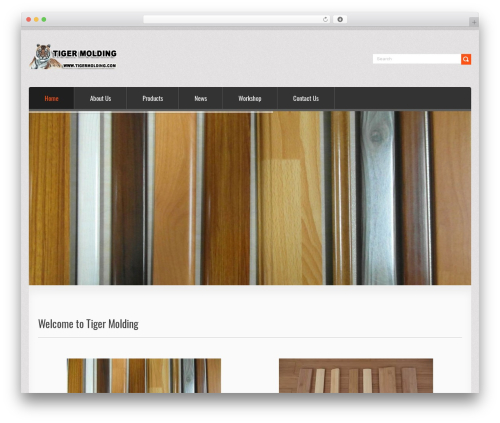 Smart IT WordPress theme - tigermolding.com