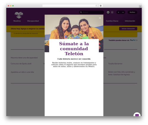 Teleton theme WordPress - teleton.org