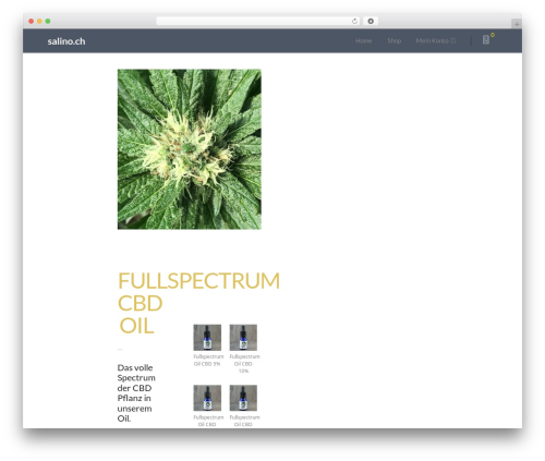 WP theme Refru - salino.ch
