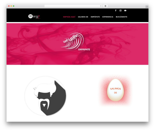 Divi WordPress theme - gogaespaciocreativo.com