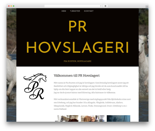 Seo wizard WordPress plugin - prhovslageri.se